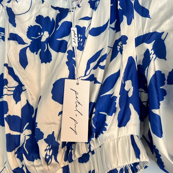 Petal & Pup Blue Floral Maxi Dress - Picture 3 of 5